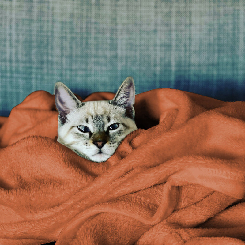 Carsonhill Reversible Mink Faux Fur Plush Fleece Throw/ Blanket, Rust, W150 x L200cm