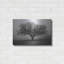 «Evening Mist» par Debra Van Swearingen-2078238830
