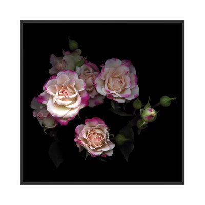 " The Little Beauties " Color Photography