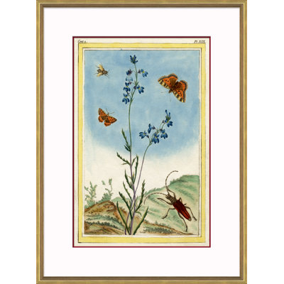 Botanical Giclee Print by Soicher Marin Archives