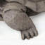 Statue de tortue d'extérieur gris foncé - charmant décor de tortue, aucun assemblage requis