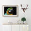 Yellow & Green Macaw Parrot in Abstract - Picture Frame Painting Print-55758999-55759004