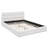 Modern Upholstered Platm Bed