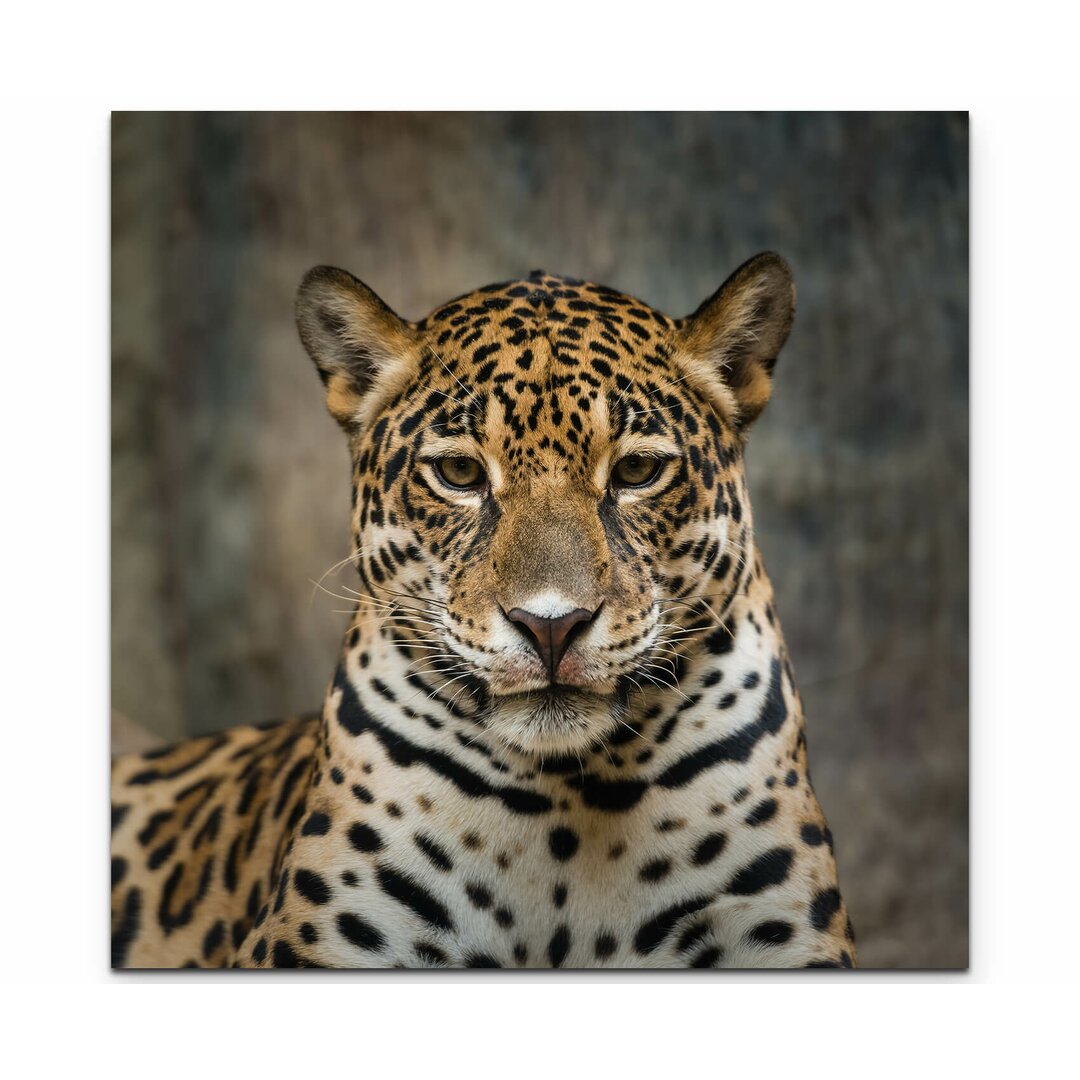 Leinwandbild Portrait eines Jaguar