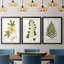 Nature Printed Botanicals douzième-257825202-257825212