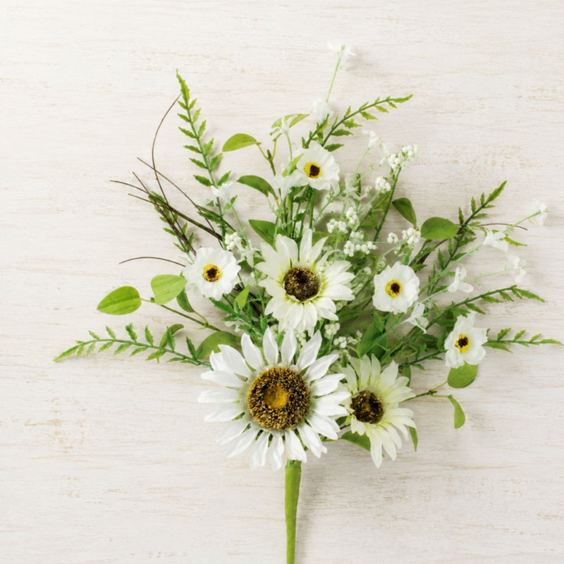 Mélange de tournesols blancs (ensemble de 2)