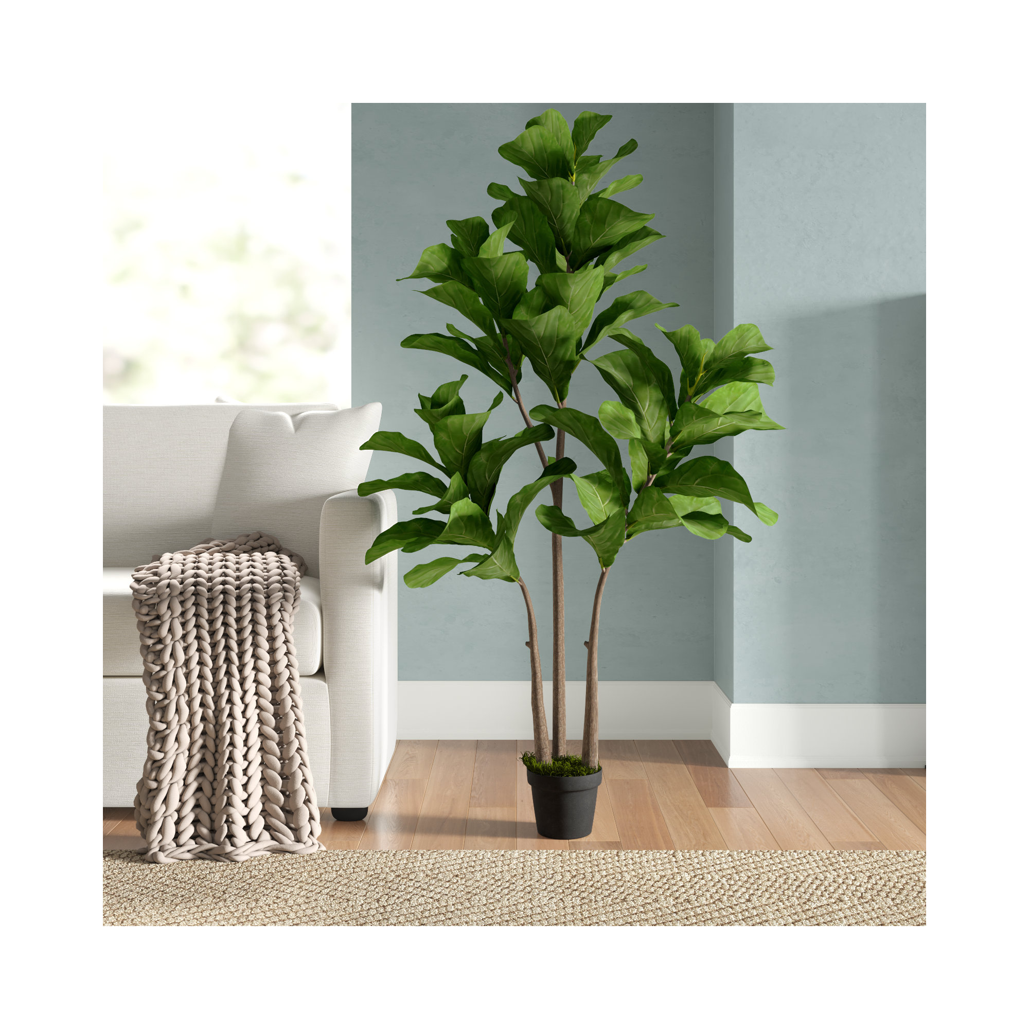 Joss & Main Fiddle Leaf Fig Tree - Thumbnail 4