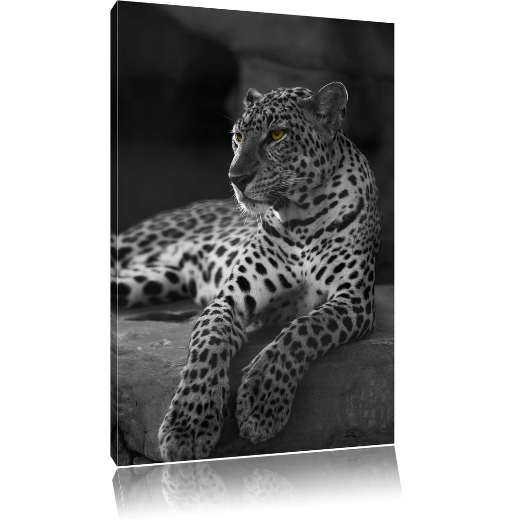 Leinwandbild Leopard auf Felsen liegend