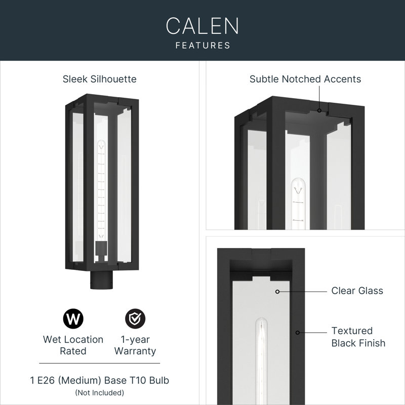 Calen 27" 1-Light Outdoor Post with Clear Glass in Textured Black