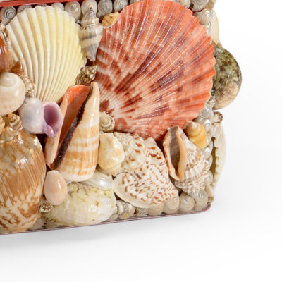 Shell Decorative Box