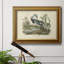 «Louisiana Heron» par John Audubon - peinture sur toile encadrée-1303849316-1339831910