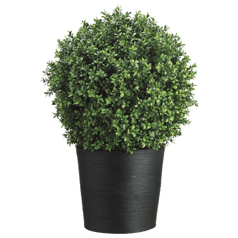 30'' Faux Boxwood Topiary in Wood Pot