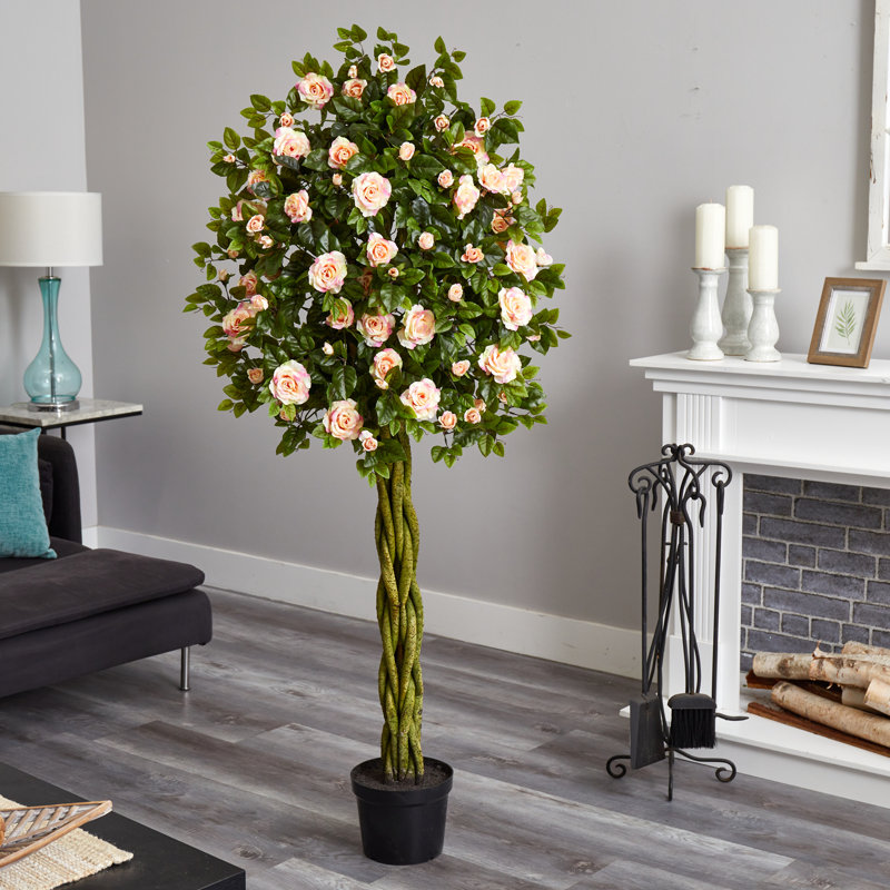 Topiaire 65 po Rose Ficus