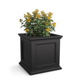 Anastasiya Pot Planter