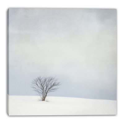 Snowfield Sapling Wrapped Canvas Wall Art