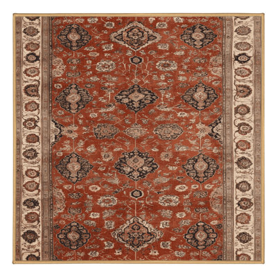 Machine Washable Persian Brown Area Rug