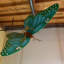 Statue insecte papillon surdimensionné-109972652