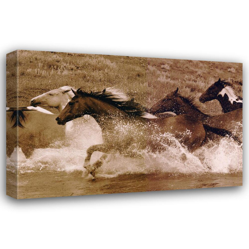 Horse River Race, H 16 po x l 24 po