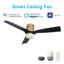 Ventilateur de plafond intelligent d'intérieur / extérieur Spezia, ensemble d'éclairage à DEL à intensité variable et télécommande, fonctionne avec l'assistant Google, Amazon Alexa et les raccourcis Siri.-214550451-214550446-214550444