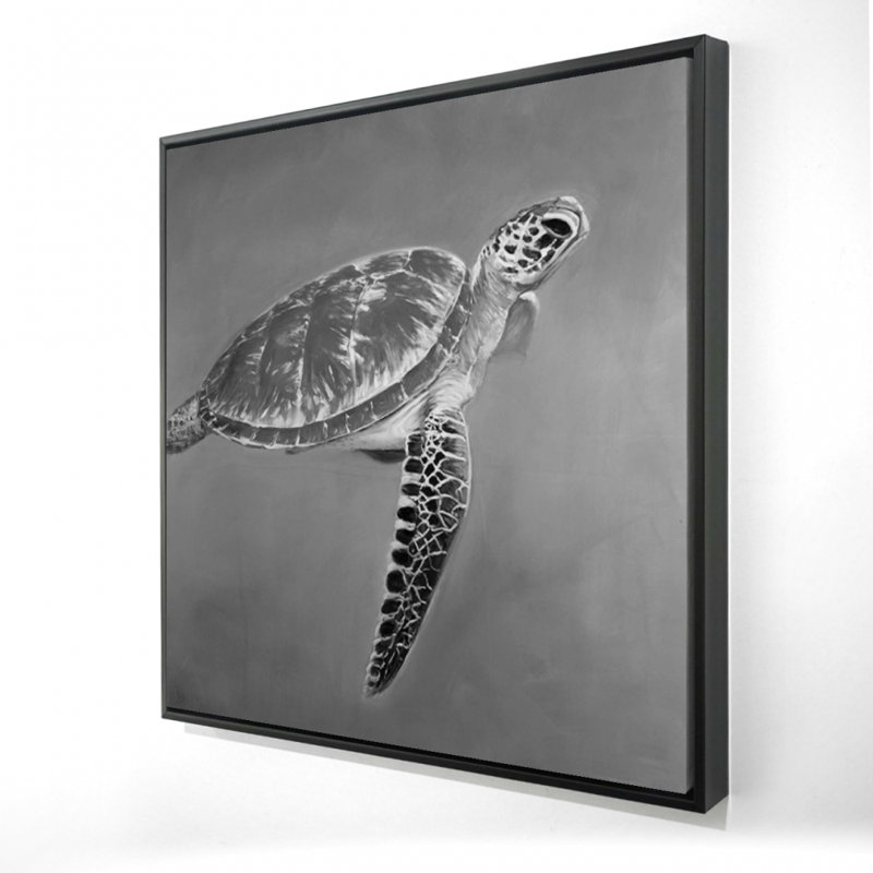 «Tortue aquatique en niveaux de gris»