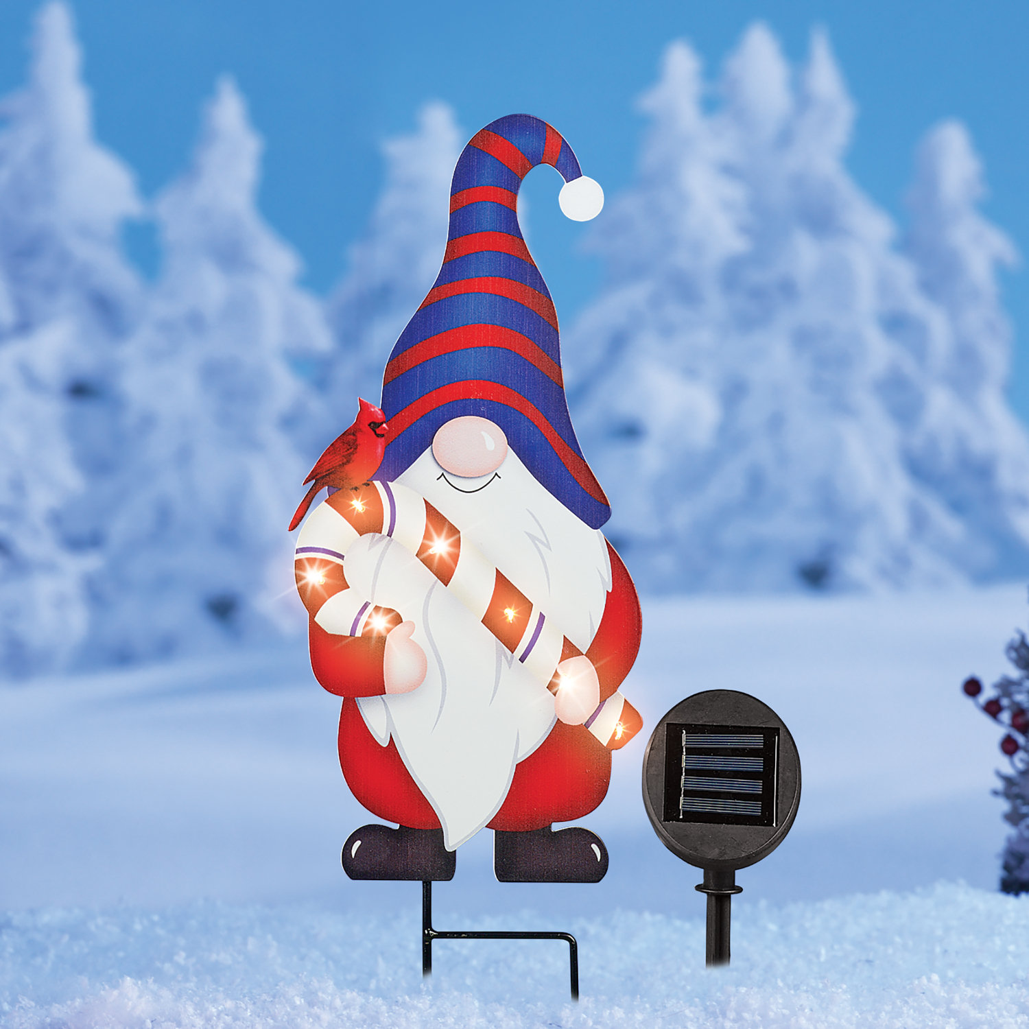 The Holiday Aisle® Outdoor Gnome Figurine | Wayfair