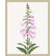 Foxglove Print by Lillian August