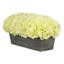 Synthetic Fabric Green Hydrangea Arrangement in Planter-1298692310-1229956899