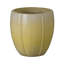 CREST PLANT, NEIGE-1178832790-1178832788