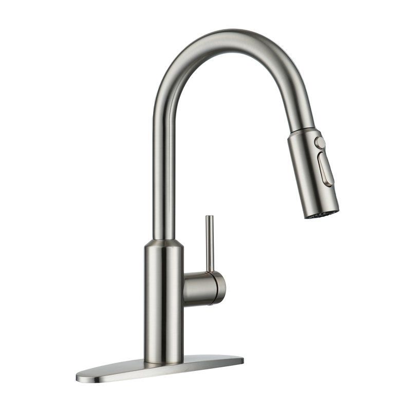 Boyel Living Kitchen Faucet Side Spray, Brushed Nickel