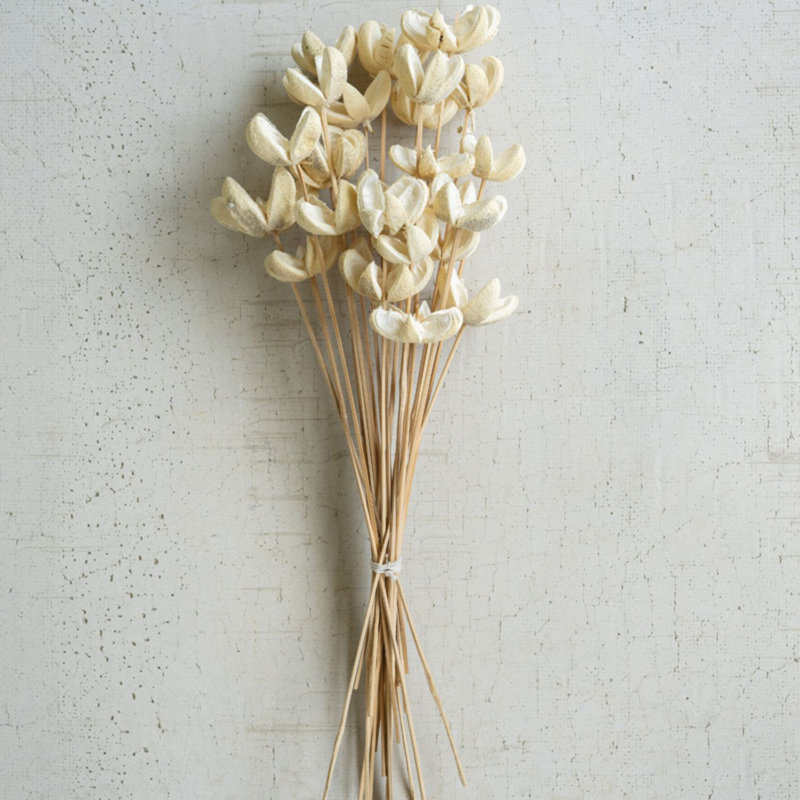 Bundle of 24 Bleached Bullet Flowers on Stems – 29"H