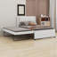 Lit plateforme tapissier avec lit gigogne-413692908