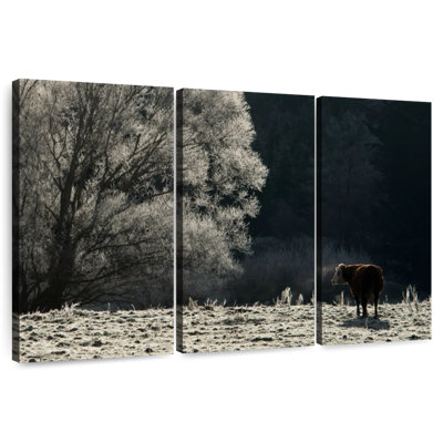 Brampt Cold Otago Cow