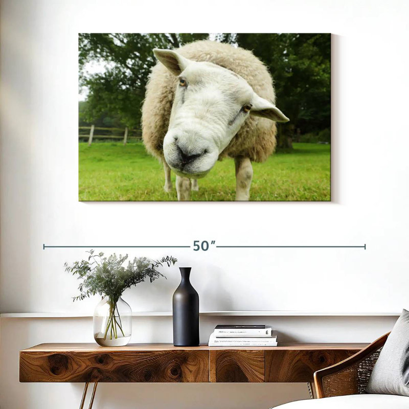 Brampt Nosy Sheep, 26" H x 39" W