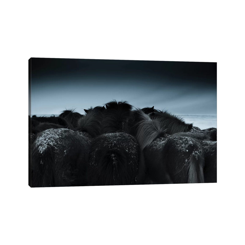 Cold Weather by Bingo Z - Wrapped Canvas Print, 20.32 cm H x 30.48 cm W