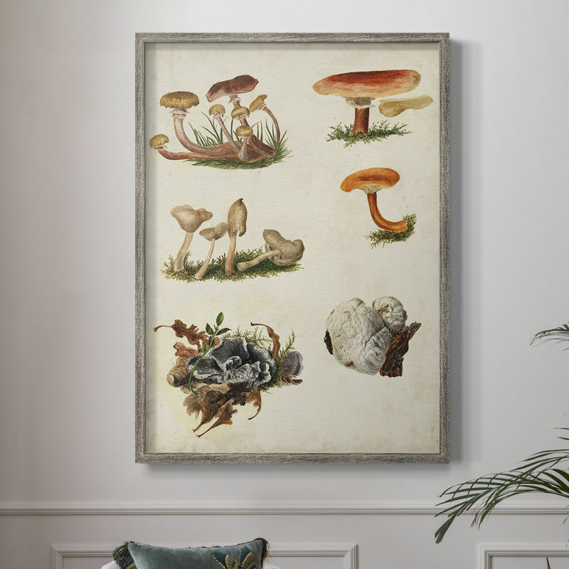 Reproduction encadrée «Mushroom Species X» - bois massif, H 30 po x l 24 po