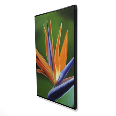 " Bird Of Paradise Flower " on