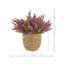 Heather dans un pot de paille-1477215127