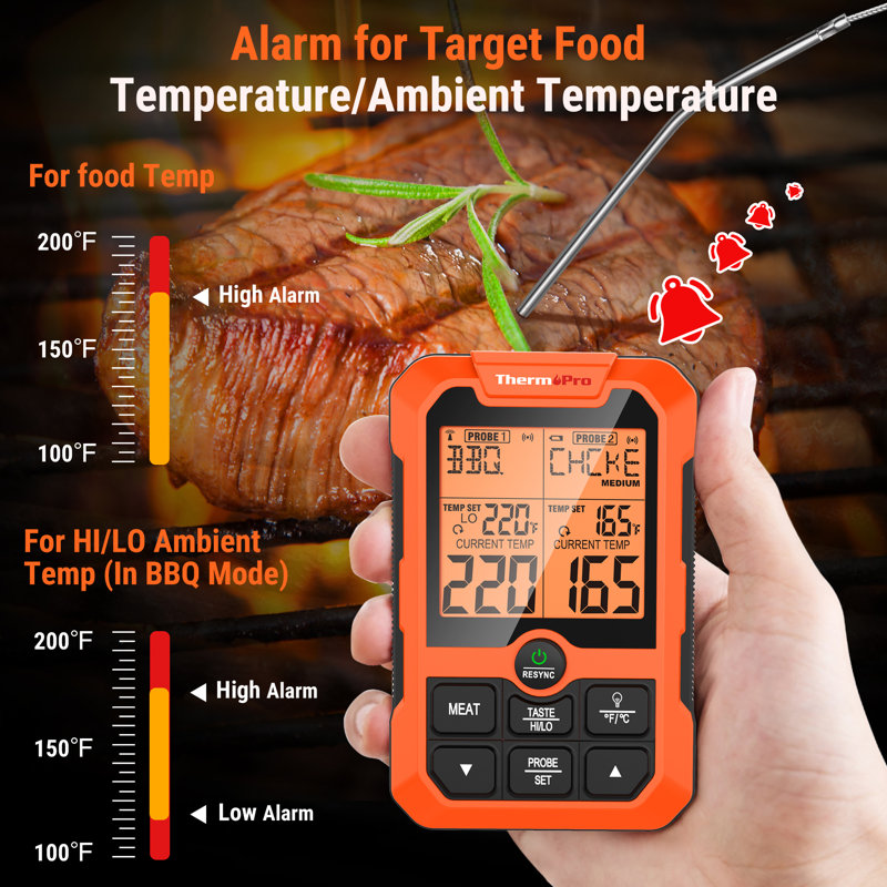 ThermoPro Thermometer