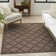 Moung Trellis Indoor/Outdoor Area Rug