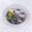 Coluna Dual Seder Plate