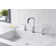 Kree Widespread 2-handle Bathroom Faucet with Drain Assembly