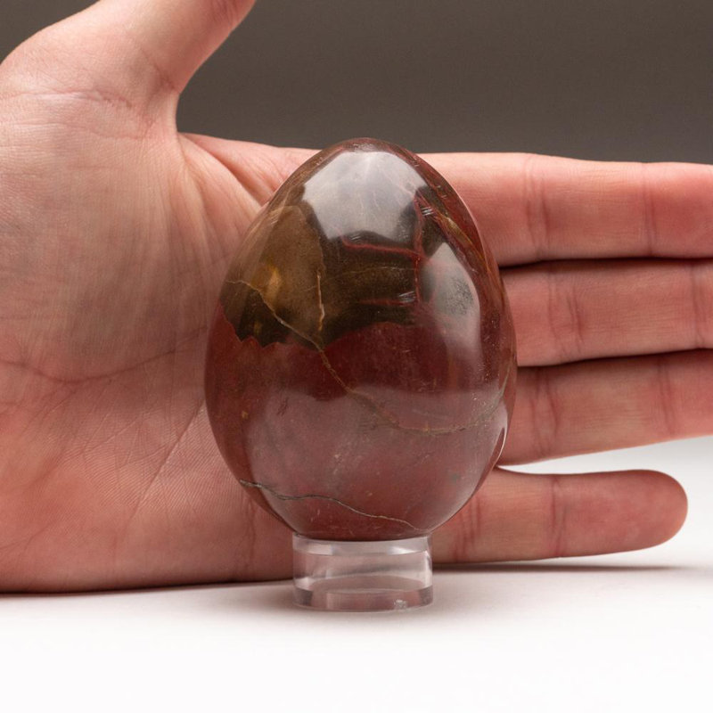 Petrified Wood Egg, Orange/Yellow/Brown, 3" H x 2" W x 2" D