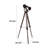 Loverde Floor Lamp