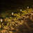 Bronze Low Voltage Solar Powered Integrated LED Metal Pathway Light Pack