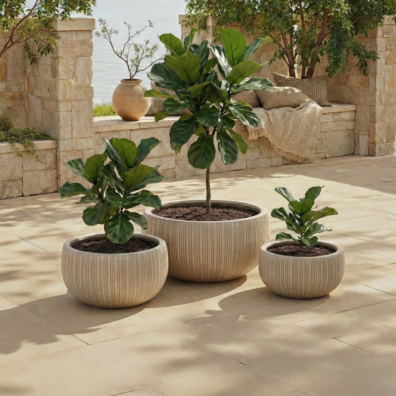Anita Planter Pot Set Of 3, Beige