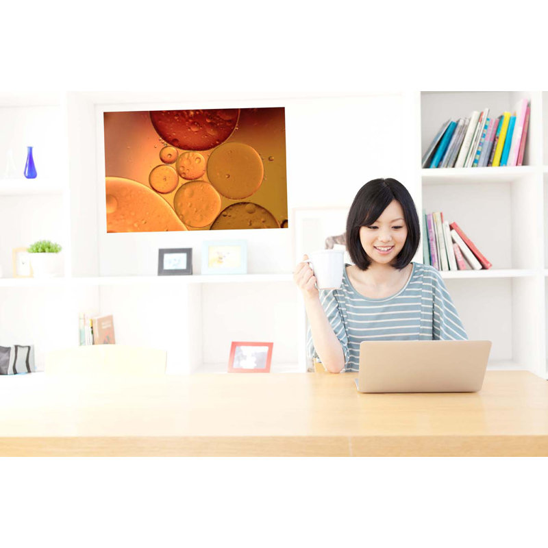 Non-Wall Damaging Wall Decal, 16" H x 24" W