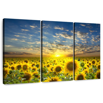 Alvord Sunflower Field Sunset Horizon