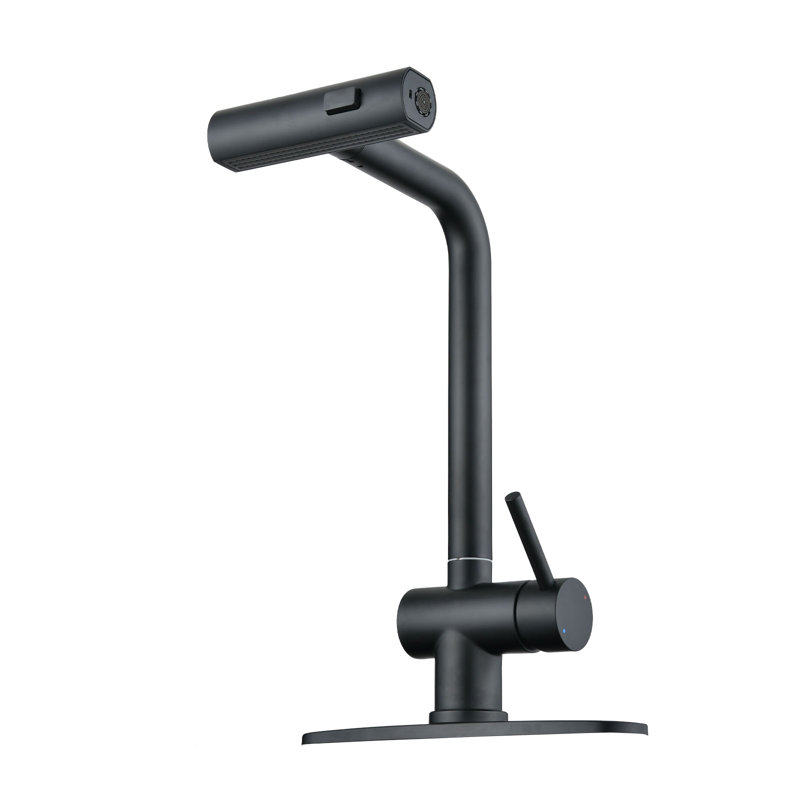 RENIST Pull Down Kitchen Faucet, Matte Black