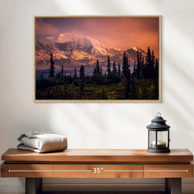 Denali et forêt Denali, 25 po x 17 po, Cadre flottant en bois naturel