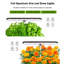 ScienGarden Grow Light-123050442